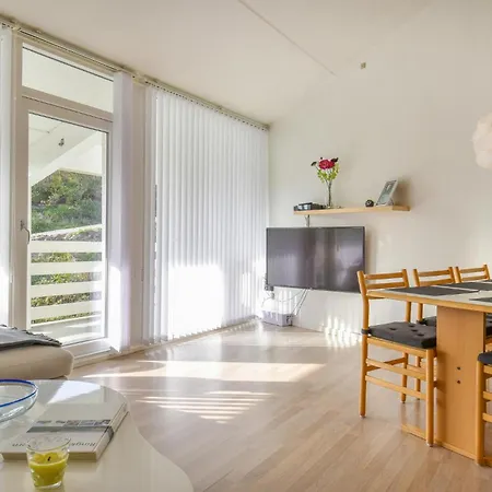 Cozy In With Kitchen Apartment *